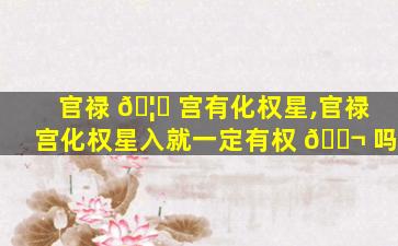 官禄 🦁 宫有化权星,官禄宫化权星入就一定有权 🐬 吗